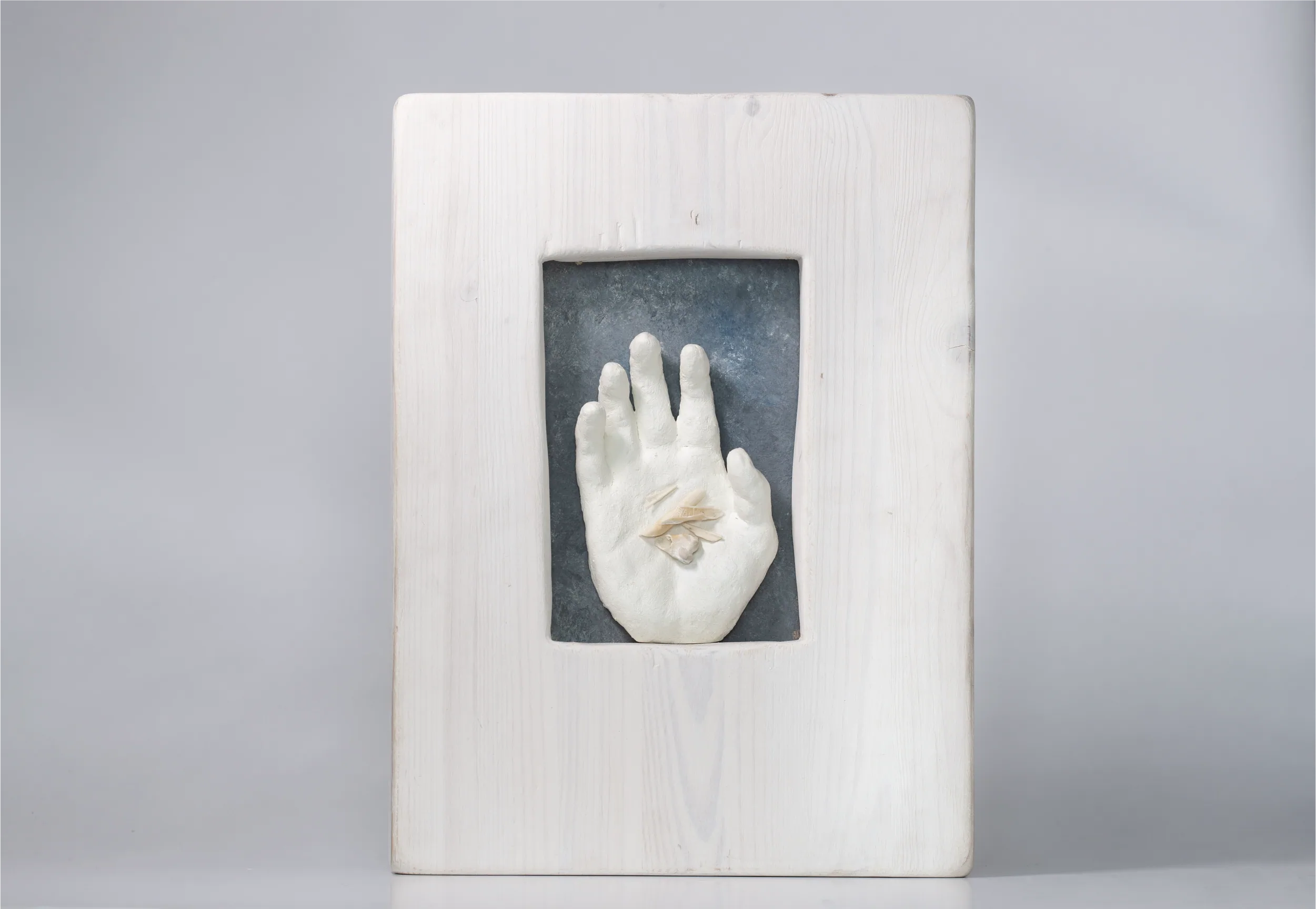 Seagull, Dream #27 — assemblage by Ivan-David Kadaner
